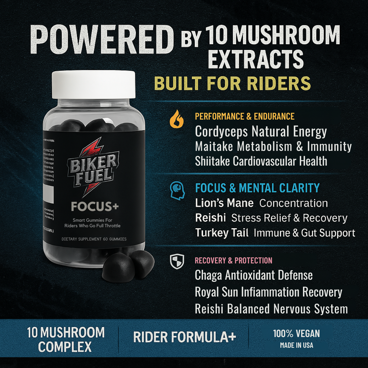 BikerFuel - Focus+